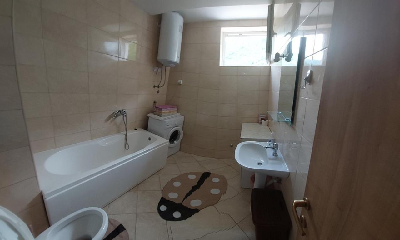 Apartman Bujisic Daire Plužine Dış mekan fotoğraf