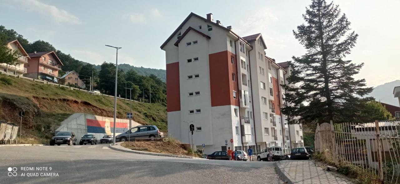 Apartman Bujisic Daire Plužine Dış mekan fotoğraf