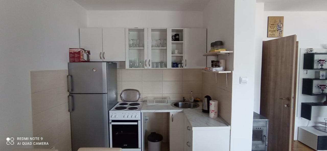 Apartman Bujisic Daire Plužine Dış mekan fotoğraf