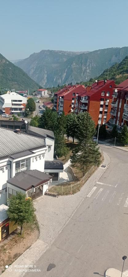 Apartman Bujisic Daire Plužine Dış mekan fotoğraf