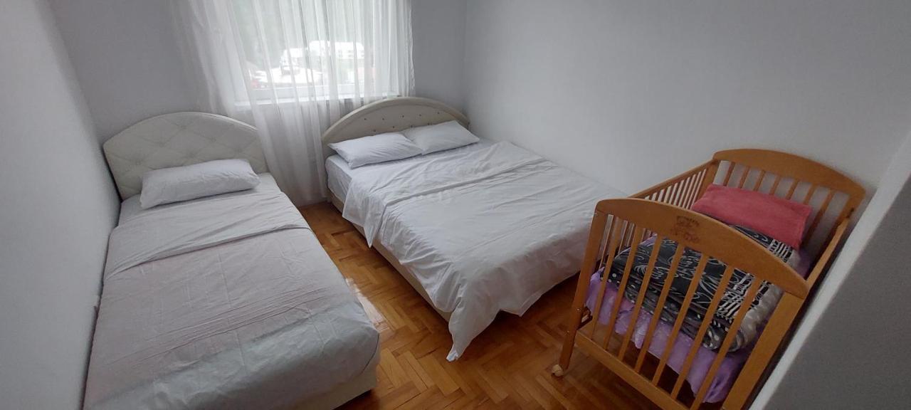 Apartman Bujisic Daire Plužine Dış mekan fotoğraf